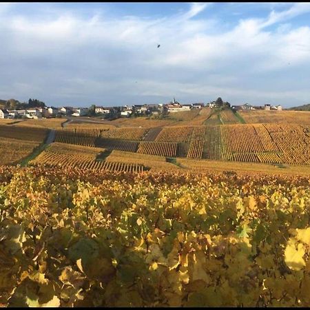 Gite En Champagne Le Sarment Cramant 外观 照片