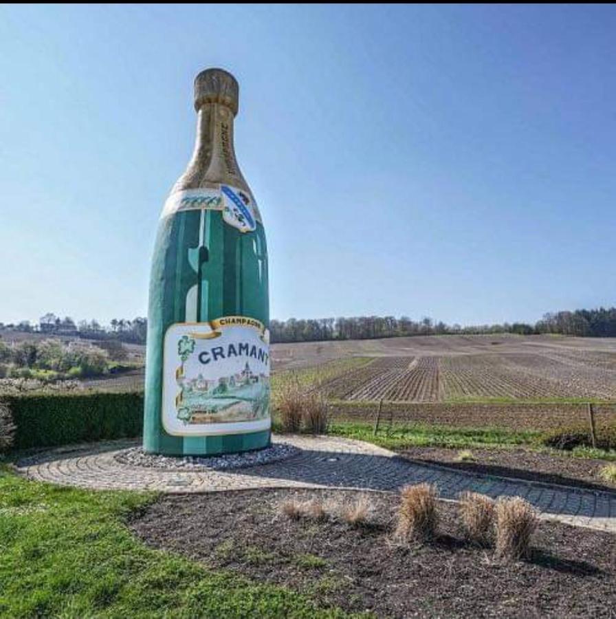 Gite En Champagne Le Sarment Cramant 外观 照片