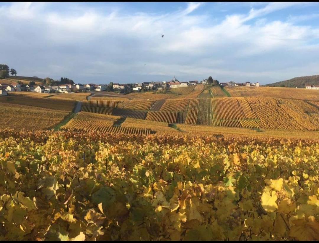 Gite En Champagne Le Sarment Cramant 外观 照片