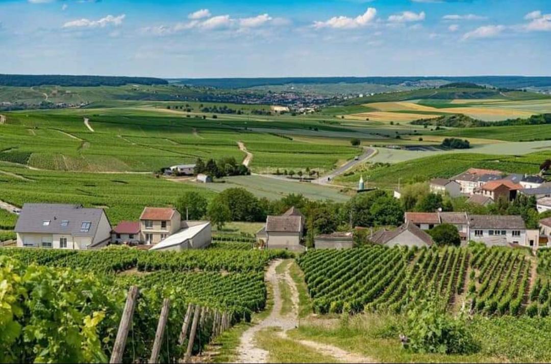 Gite En Champagne Le Sarment Cramant 外观 照片