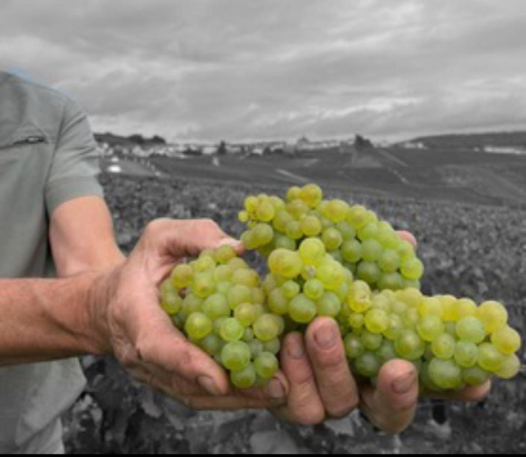 Gite En Champagne Le Sarment Cramant 外观 照片